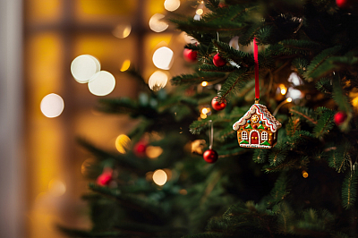 ibb´s Christmastime